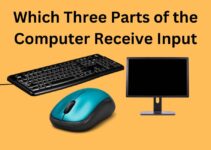 Which Three Parts of the Computer Receive Input